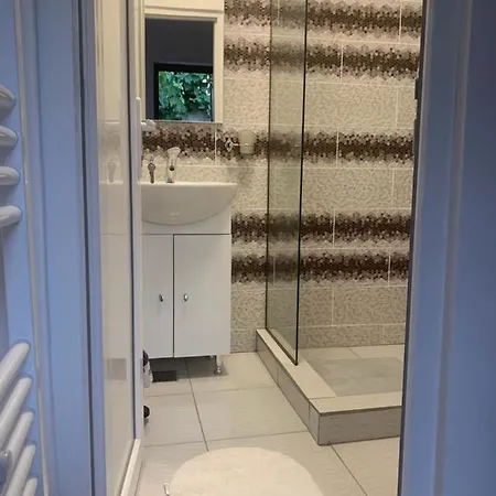 Casa Anastasia-constanta Delfinariu Quarto em Acomodações Particulares *