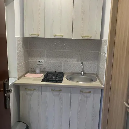 Casa Anastasia-constanta Delfinariu Quarto em Acomodações Particulares *