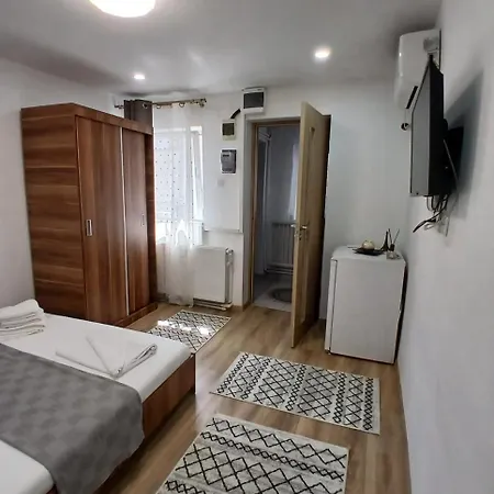 Casa Anastasia-constanta Delfinariu בית אירוח *