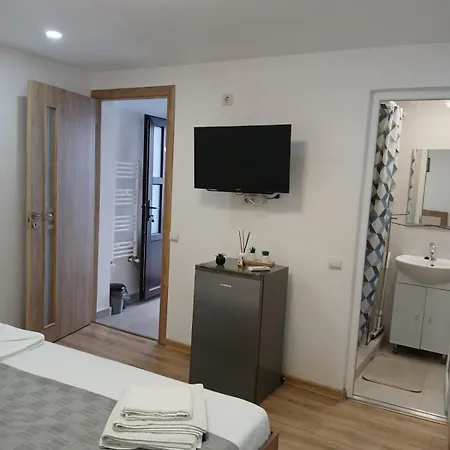 Casa Anastasia-constanta Delfinariu בית אירוח *
